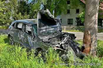 Unfall in Stemwede: Auto kollidiert mit zwei Bäumen