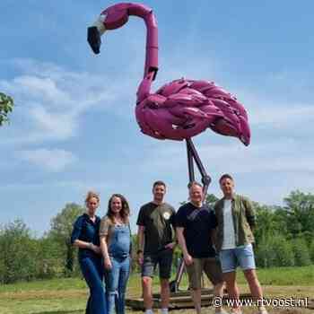 Geen ooievaar, maar roze flamingo als brenger van 'nieuw leven': Heimlandfestival in nieuw jasje gestoken