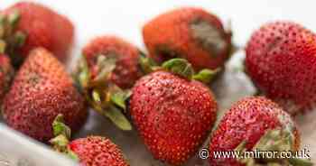 Keep strawberries fresh three weeks longer using one surprising kitchen staple