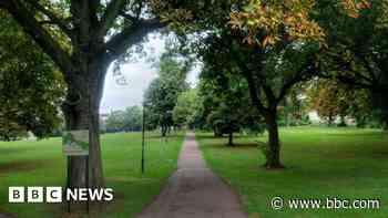 Man arrested on suspicion of rape in park