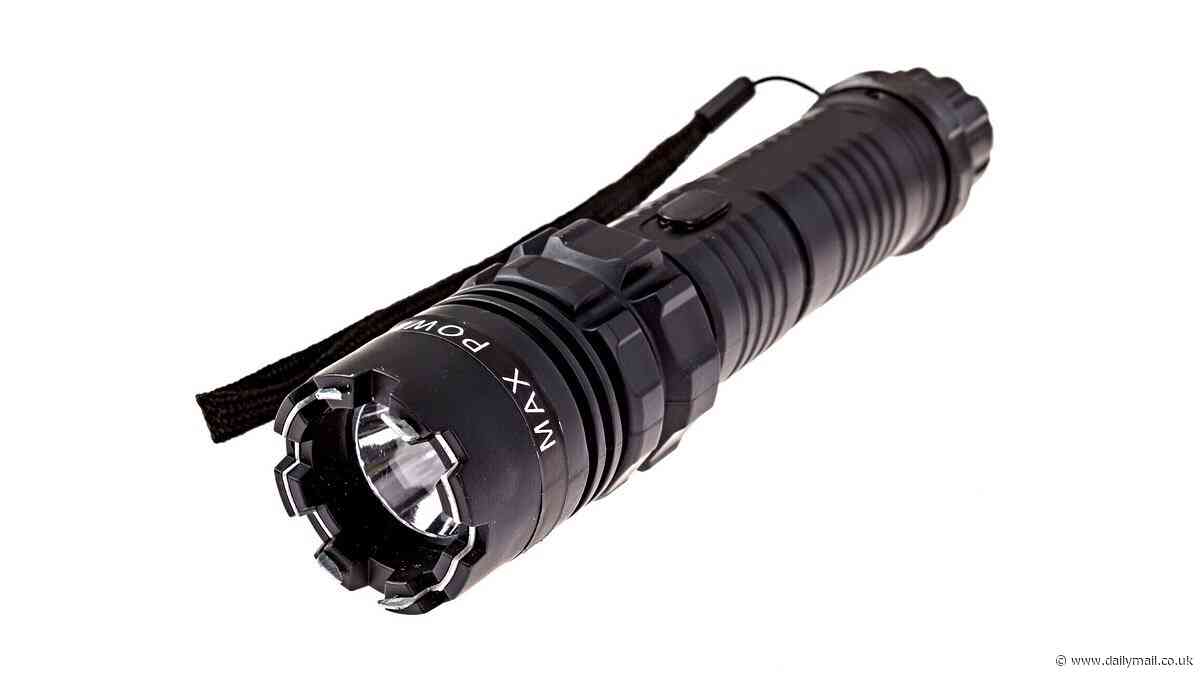 Musician, 52, bought a stun gun disguised as a torch as a 'last resort' because he feared his neighbour would murder him