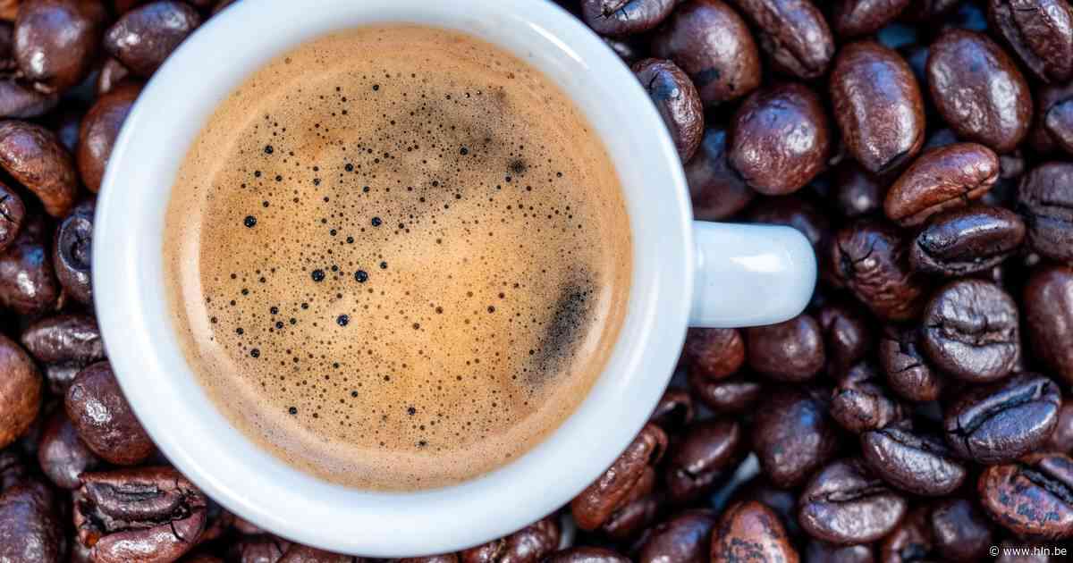 Prijs robusta-koffie op hoogste niveau in 45 jaar