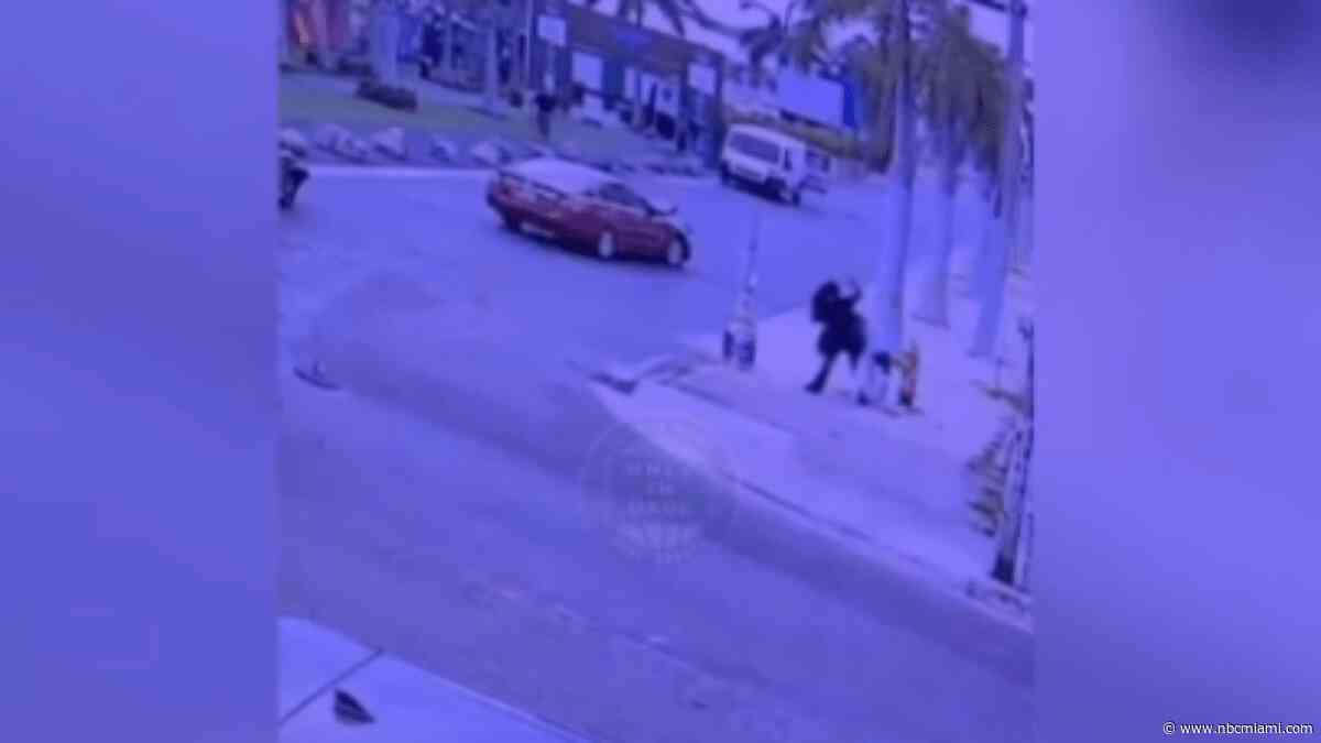 Video shows woman crash while chasing alleged bag thief, then confronts him on Wynwood sidewalk