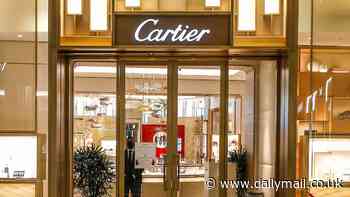 International jewel thief is busted stealing $300,000 worth of rings from Cartier and Tiffany stores in Manhattan