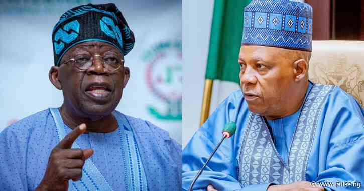 Tinubu, Shettima out of the country  —  who is in charge of Nigeria?
