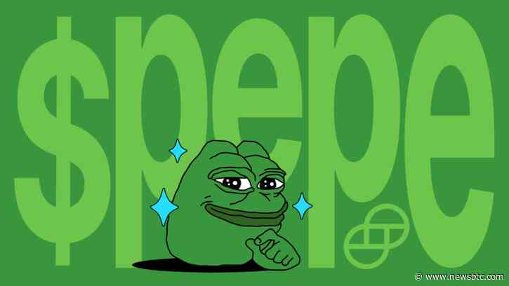 Crypto Whale Spends $10.4 Million On PEPE, Do They Know Something You Don’t?