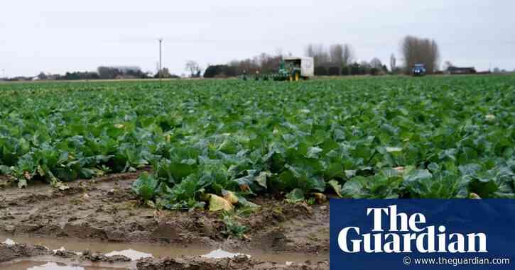 Farmer confidence at lowest in England and Wales since survey began, NFU says