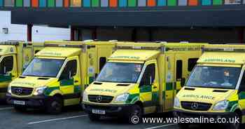 Welsh health board issues 'red alert' over A&E pressures
