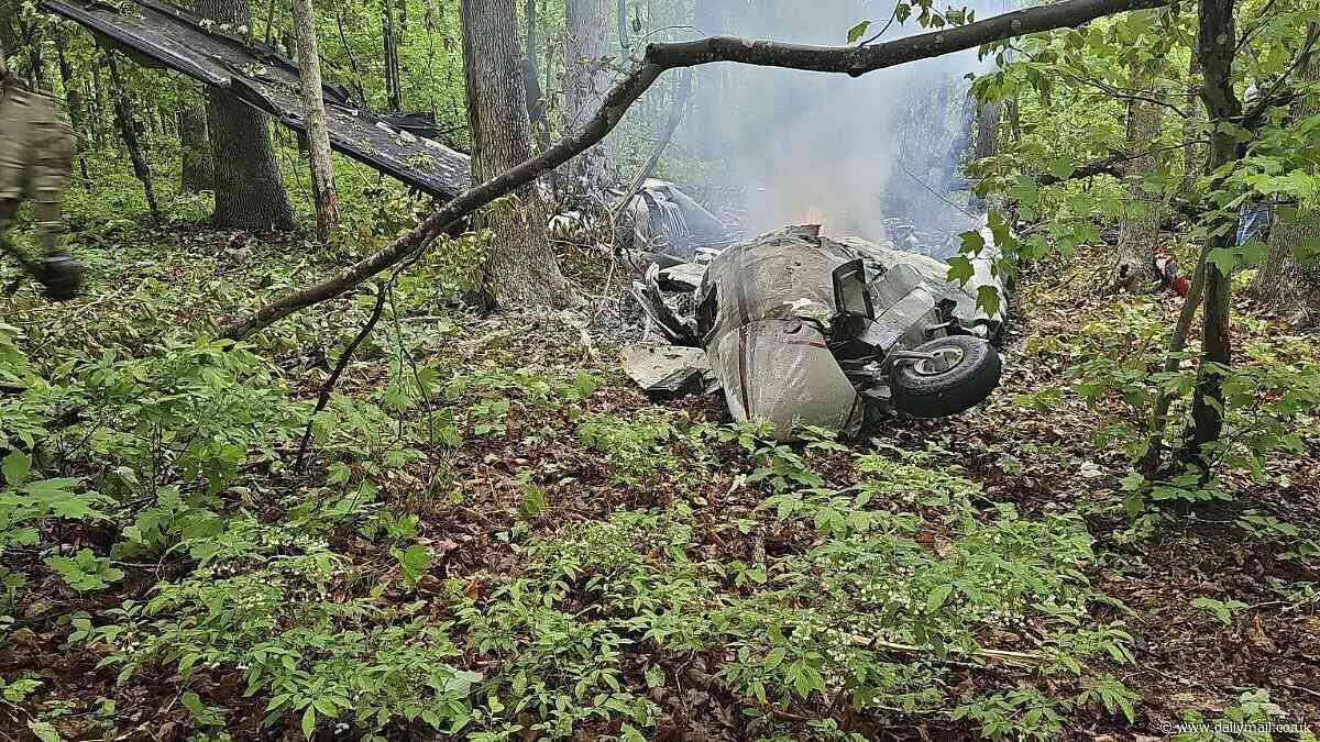 Pilot, 63, and passenger, 73, are both killed in horrifying plane crash in Virginia woods