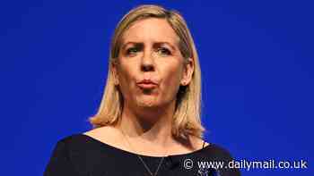 Illegal migrants cost the taxpayer £14 billion every year, says former minister Dame Andrea Jenkyns