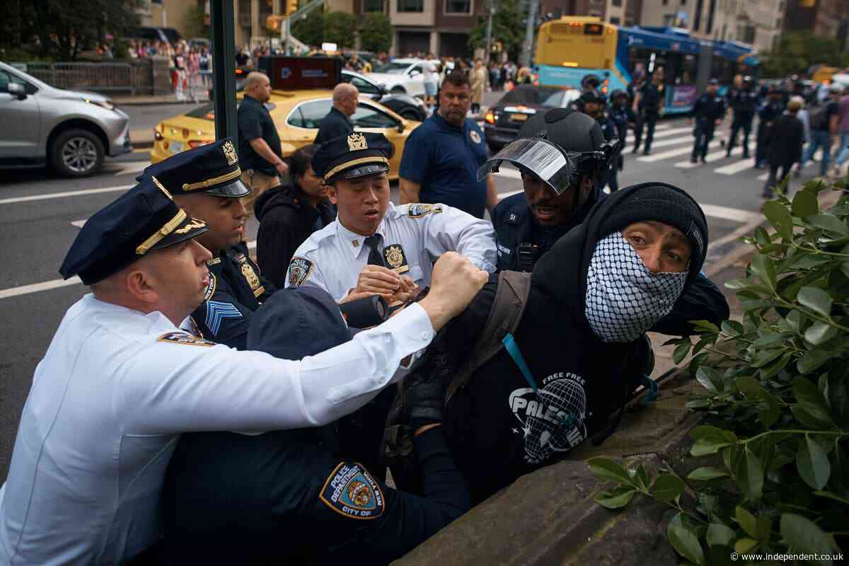 Woman arrested as heavy police presence and ring of steel around Met Gala after Gaza protests in New York