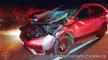 Minor injuries after moose, vehicle collide on Hwy. 11 in northern Ont.