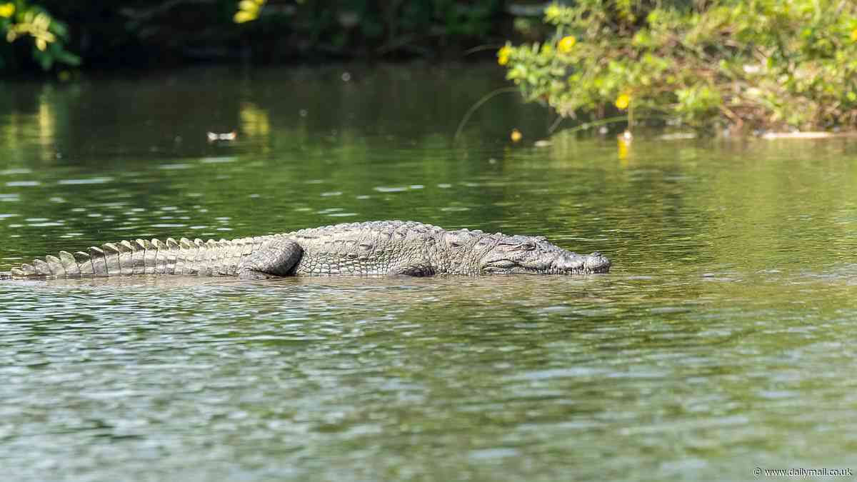 Mother throws her disabled six-year-old son into a crocodile-infested river where he is 'mauled to death' by reptiles after father ordered her to 'throw the child away' in India