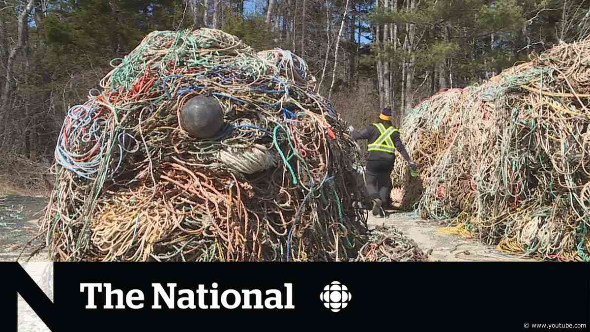 Funding delays put abandoned fishing gear cleanup in jeopardy, organizations fear