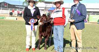 NSW stud takes out Red Poll double at Beef