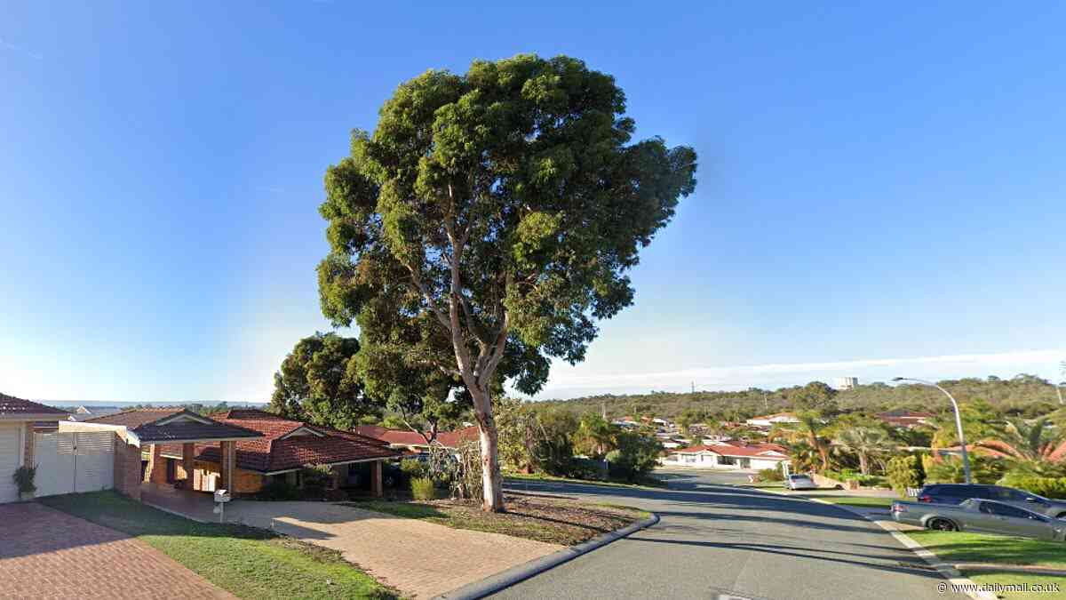 Alexander Heights, WA: This magnificent gum tree is one of the last left in a suburban street - but has divided residents after a neighbourhood group campaigned to have it removed