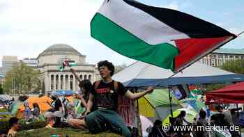 Palästina-Proteste an US-Unis: Wie Profi-Aktivisten die Aktionen schüren – nicht Studenten