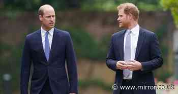 Nine-word reason Prince William won't see Prince Harry during rare UK visit