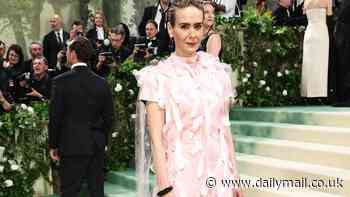 Sarah Paulson steps out with a pretty in pink look at the 2024 Met Gala while posing alongside Amanda Seyfried, Harris Dickinson and Damson Idris