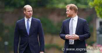 Prince William won't see Prince Harry on UK visit for nine-word reason