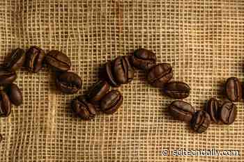 Scientists Sequence Arabica Genome, Opening Doors to Climate-Resilient Coffee