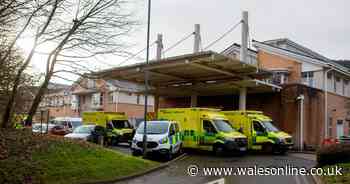 Three more Welsh hospital A&E departments declare 'red alert'