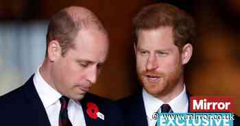 Prince Harry's brother Prince William 'dreading' meeting and 'doing utmost to avoid him'