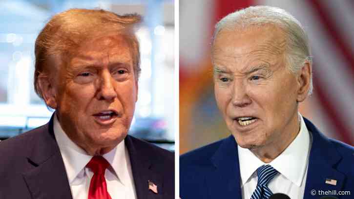 Here's where the Biden-Trump race stands 6 months out from the election