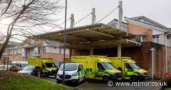 Three hospital A&E departments declare red alert as patients warned they face 'extended wait'