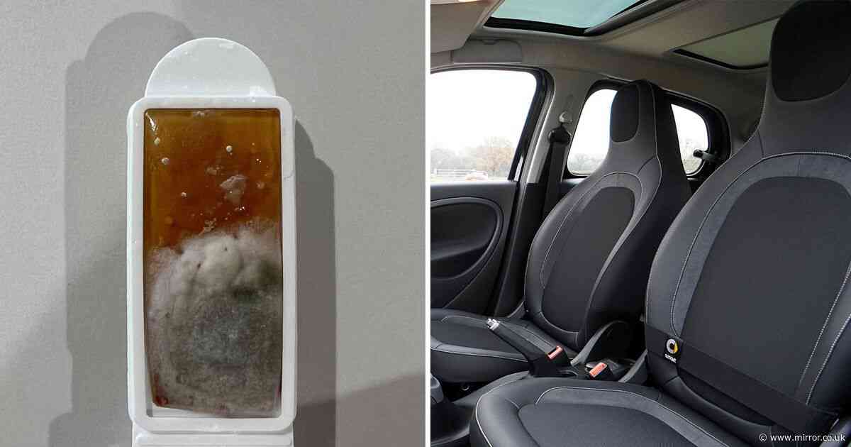 Stomach churning bacteria photos show just how dirty your car really is - 3 ways to fix it