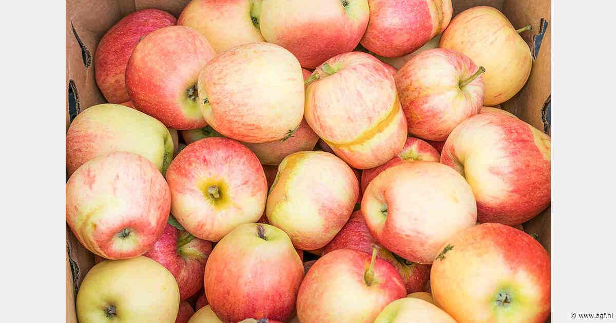 Poolse appelsmokkel verijdeld door Wit-Russische douane