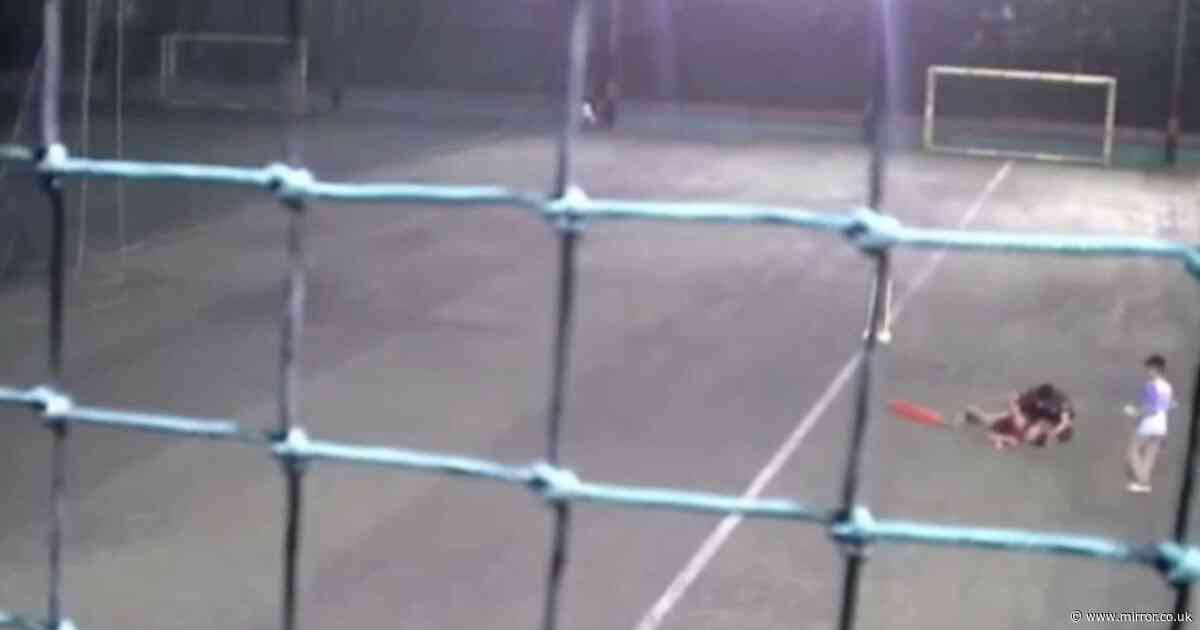 Boy dies after being hit in groin by cricket ball while playing with friends