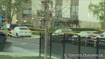 Police investigate deadly shooting in Toronto's Oakwood Village neighbourhood