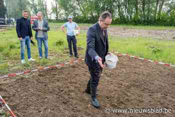 Bart De Wever zaait hennep, niet voor eigen gebruik maar om PFAS uit de grond te halen aan brandweerkazerne in de haven