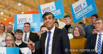 Polling guru points out two major flaws in Rishi Sunak's hung Parliament optimism