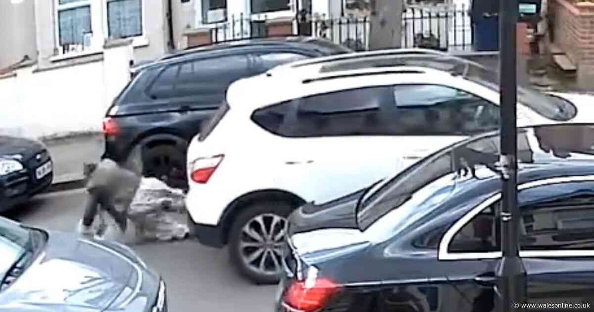 Moment pensioner collides with reversing car caught on camera