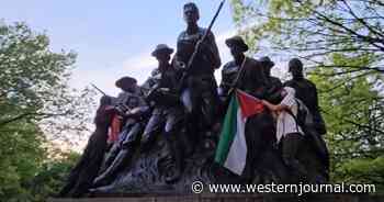 Watch: Shameless Pro-Palestinian Activists' Latest Target - WWI Memorial in Central Park