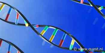 Hoe je persoonlijkheid je DNA beïnvloedt