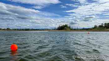 Fischadler-Schutz: Bojenreihe im Ammersee stoppt Wassersportler