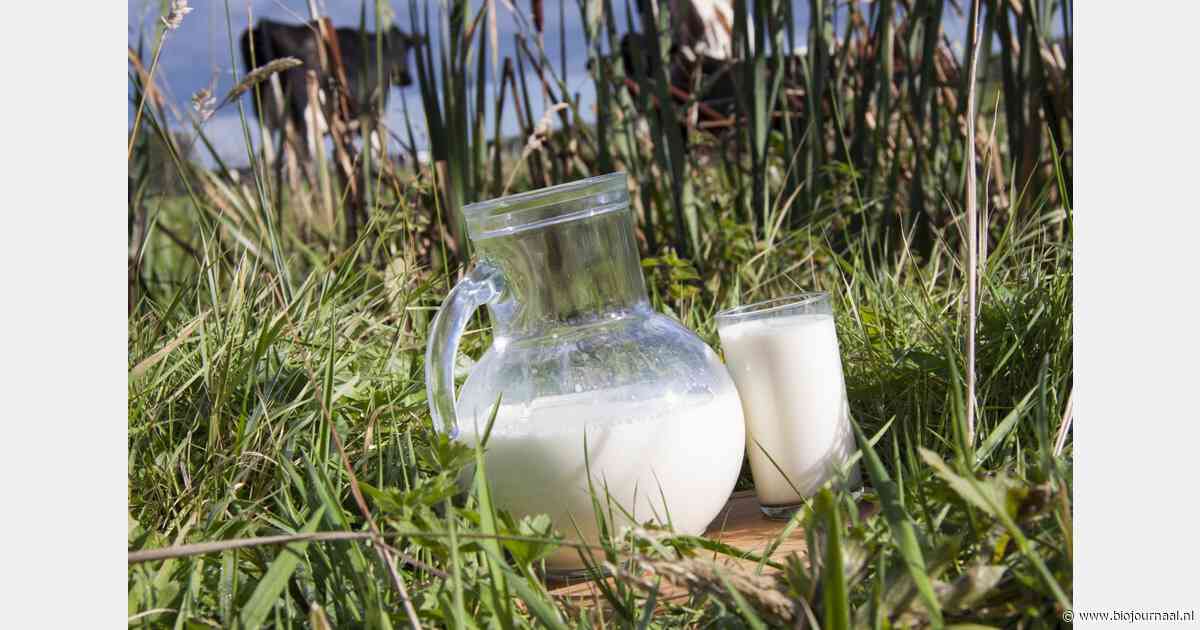 Melkprijzen Eko-Holland blijven voor mei 2024 wederom gelijk