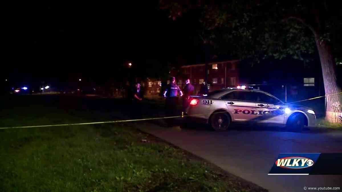 Neighbors say they witnessed Louisville drive-by shooting that injured boy, man