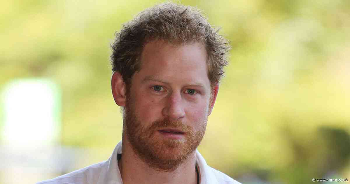 Prince Harry's UK security decoded - Home Office battle, deep 'fears' and eye-watering cost