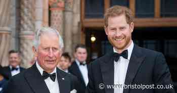 Prince Harry statement explains why he will not see King Charles on his UK visit