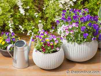 Mother’s Day: Gift ideas for gardeners