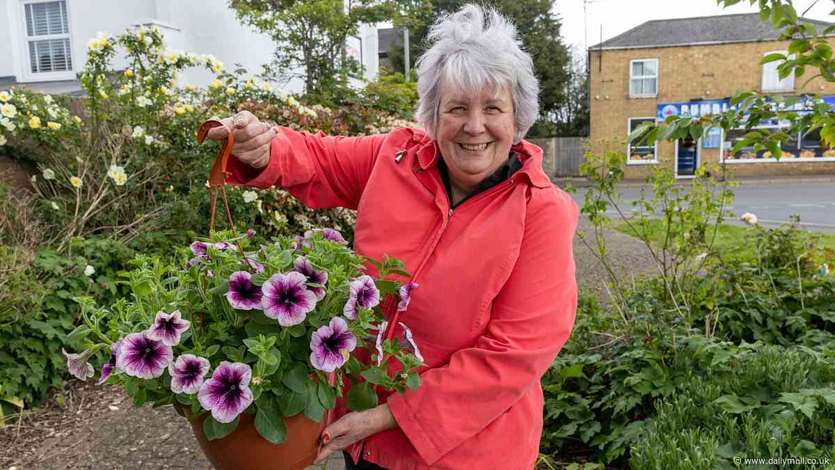 Council 'jobsworths' order award-winning floral display group to complete £165 safety course before hanging baskets on lampposts so they don't electrocute themselves