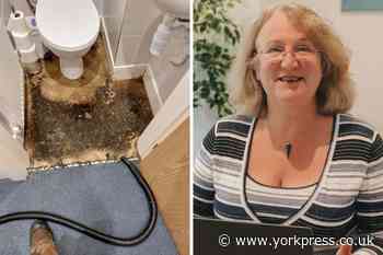 Elaine Wright’s quick-thinking saves Wellspring HQ from flooding