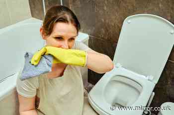 Banish foul urine smells from toilets with 'only thing that works' and costs 99p