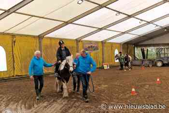 Centrum Therapeutisch Paardrijden krijgt aangepast busje dankzij Rotary en NVSG