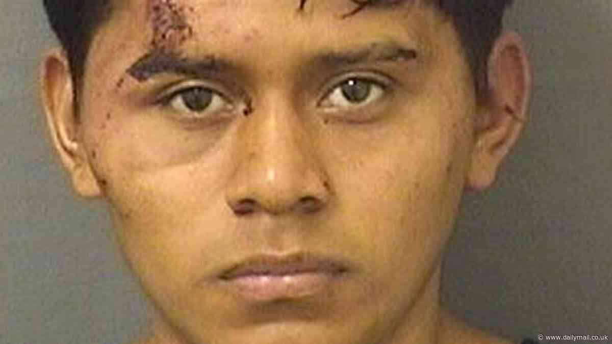 Newly arrived illegal immigrant kidnaps an 11-year-old girl and rapes her in his white van as her mother screams for help outside