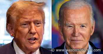 Trump Accuses Biden of Targeting 'Respected Democrat,' Says He Tried to 'Take Him Out'